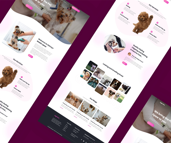 Web Designing Experts
