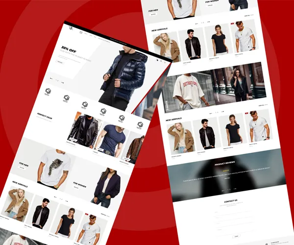 Web Designing Experts