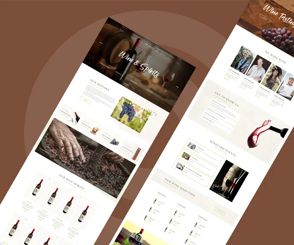 Web Designing Experts