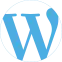 Web Designing Experts